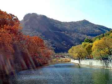 如何能够购买打胎药打胎和药流最合适（打胎和药流哪个好）